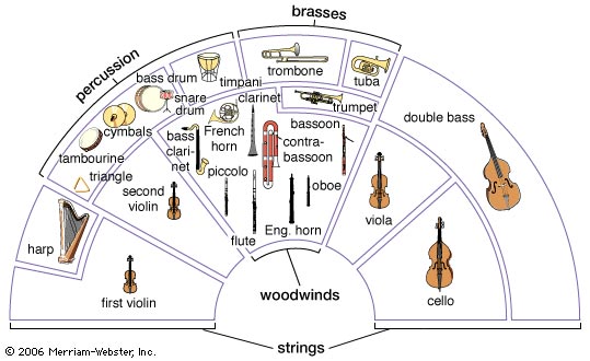 orchestra layout